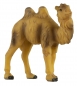 Preview: Handbemalte Krippenfigur Kamel klein, ca. 7 cm, K 001-17